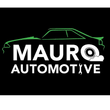 Logo di AUTOMOTIVE MAURO
