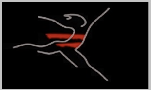 Logo di FASHION CARS ROMA