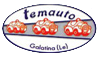 Logo di temauto