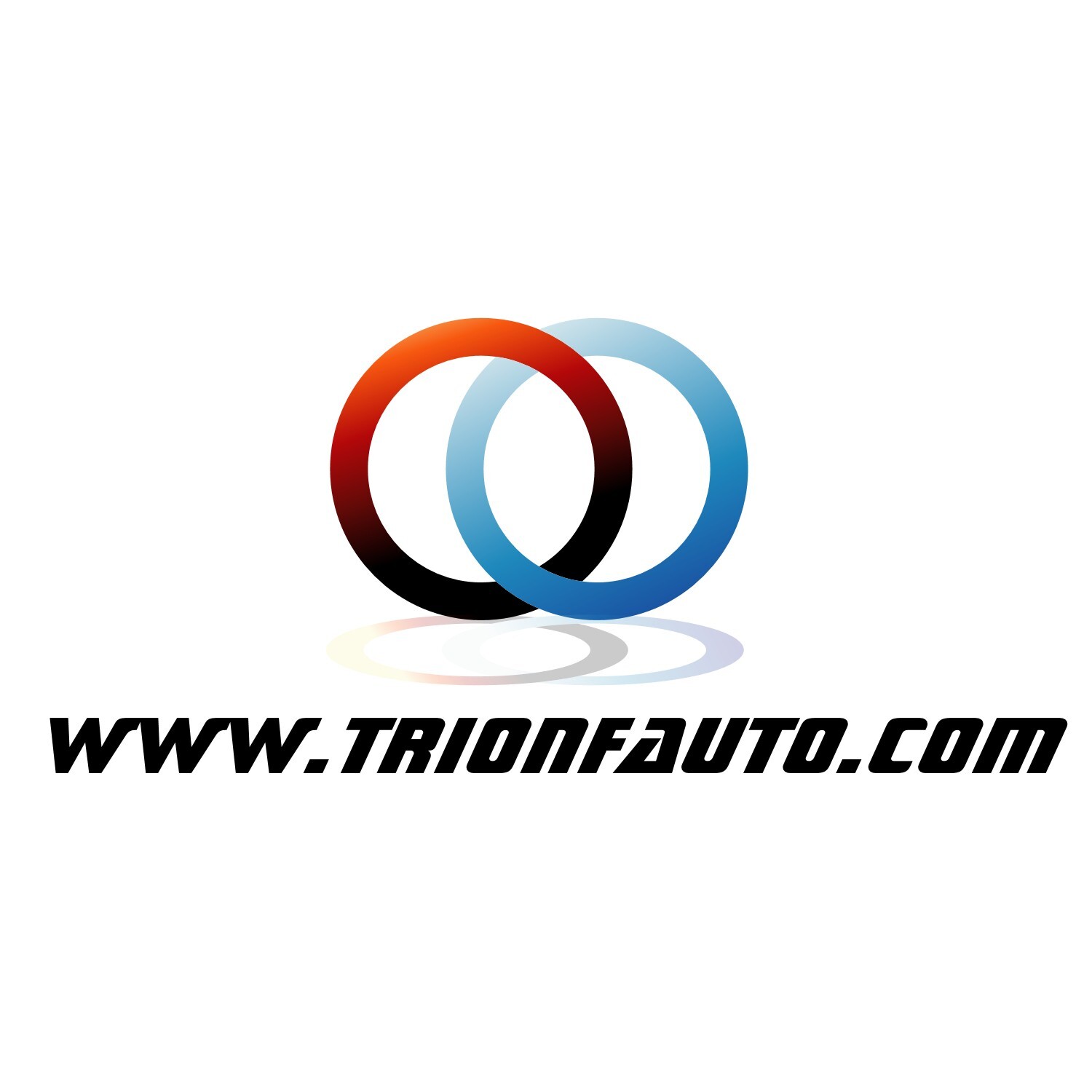 TRIONFAUTO SRL