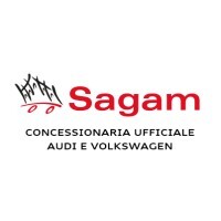 Logo di SAGAM S.P.A.