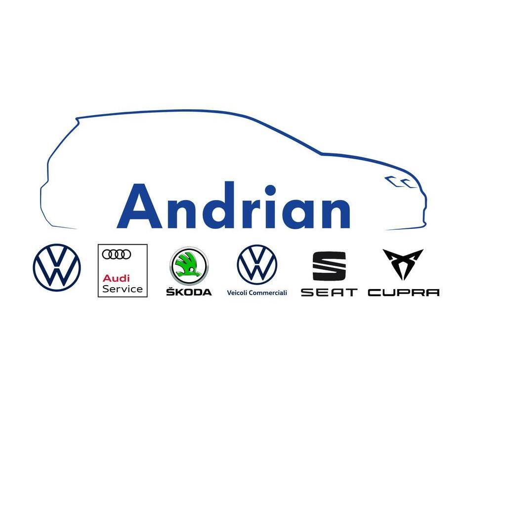 Logo di ANDRIAN FLAVIO E C. S.A.S.