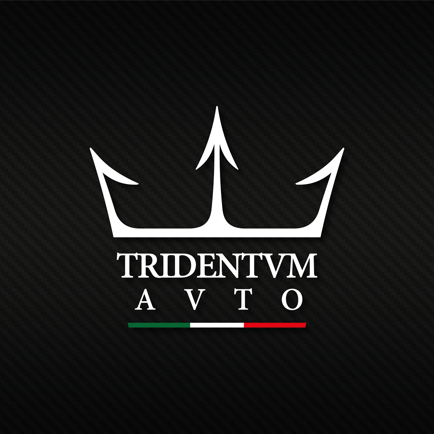 Logo di TRIDENTUM AUTO S.R.L.