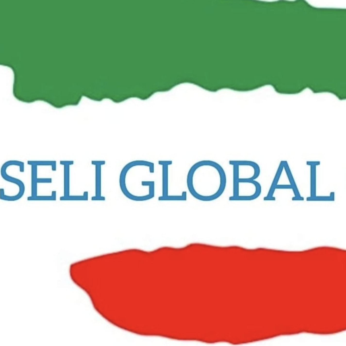 Logo di SELI SRLS