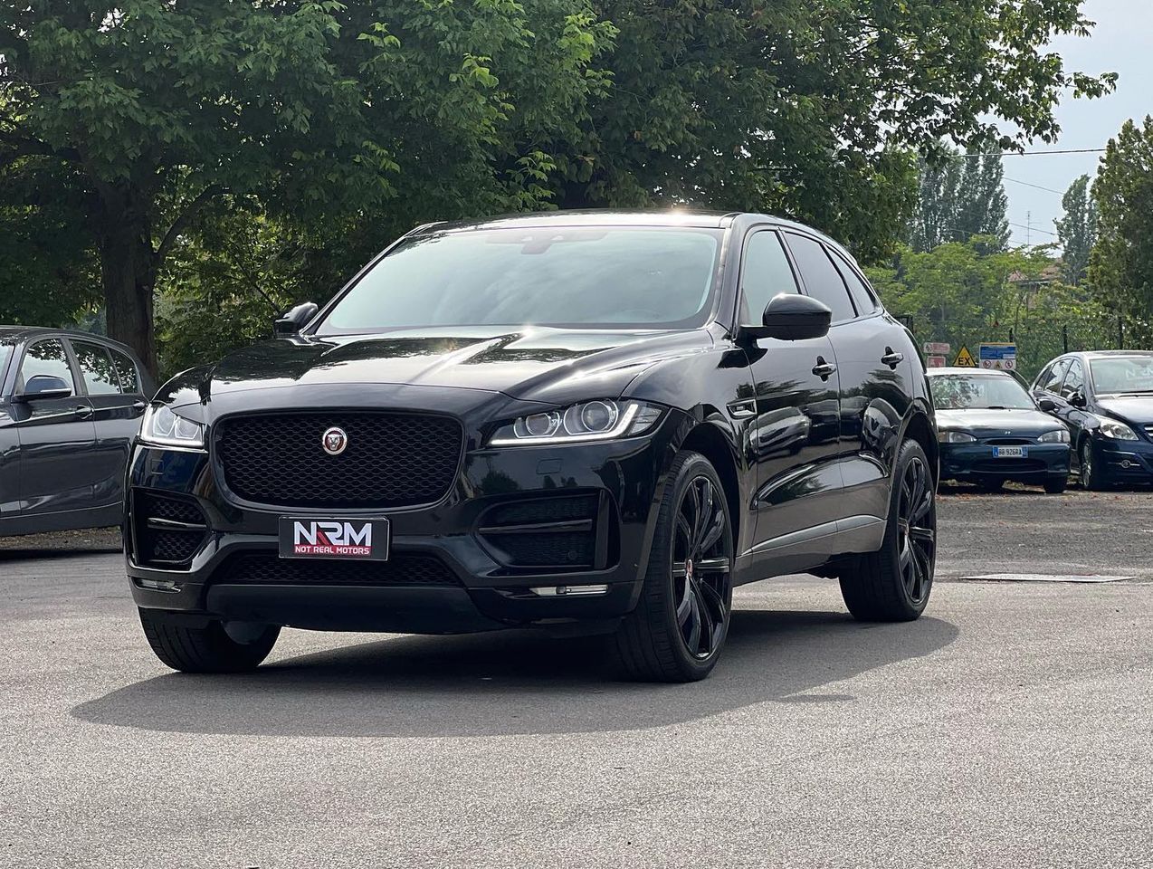 NOT REAL MOTORS di Elvis Novruzaj