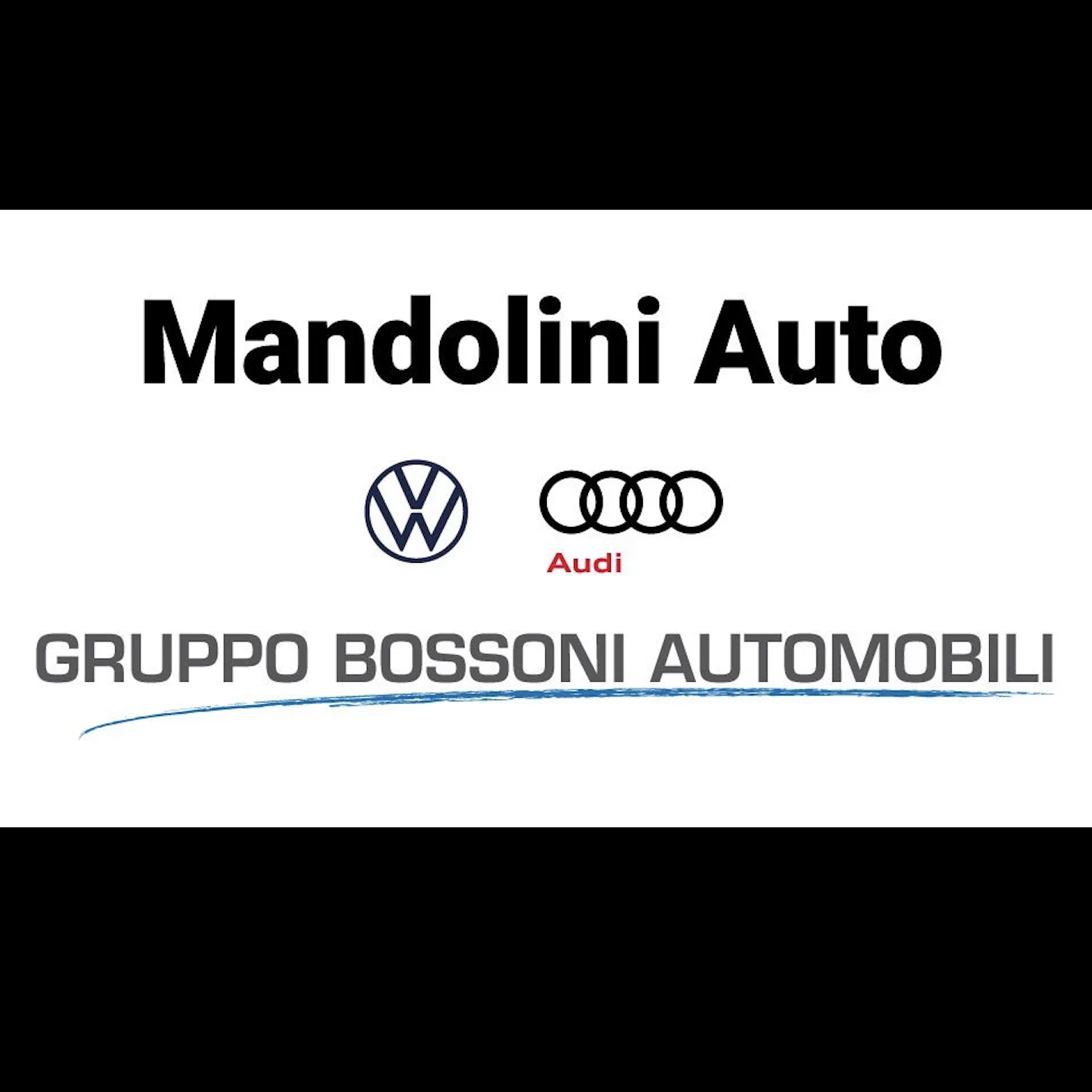 Logo di MANDOLINI AUTO S.P.A.