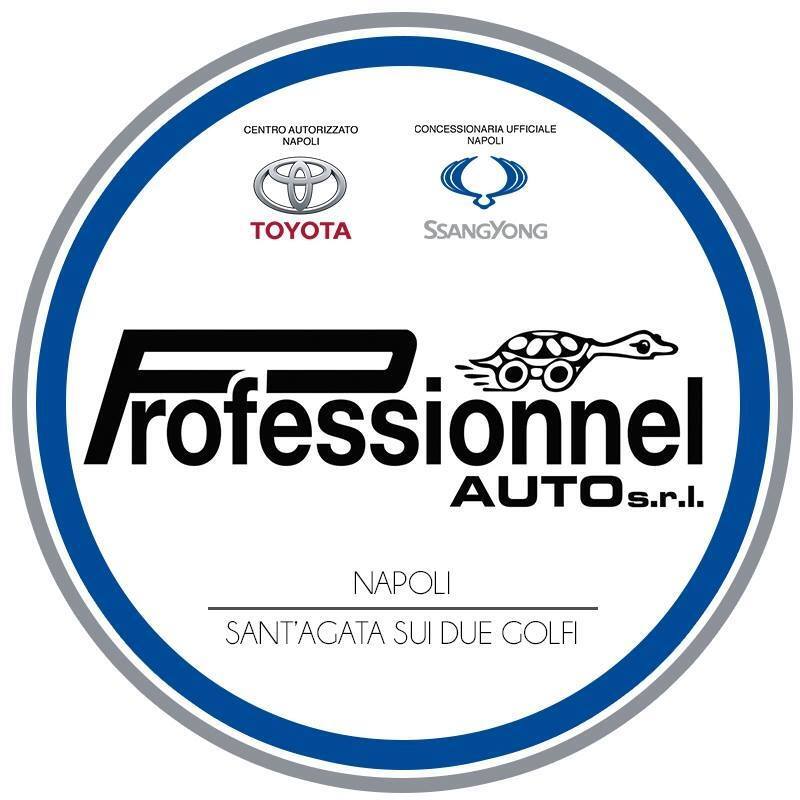 Logo di PROFESSIONNEL AUTO SRL