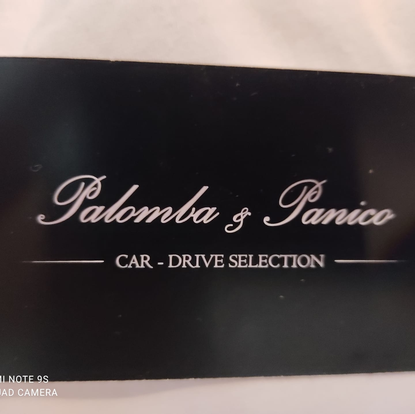 Logo di PANICO E PALOMBA CAR AND DRIVE SELECTION
